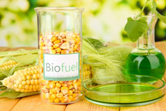 Seton biofuel availability